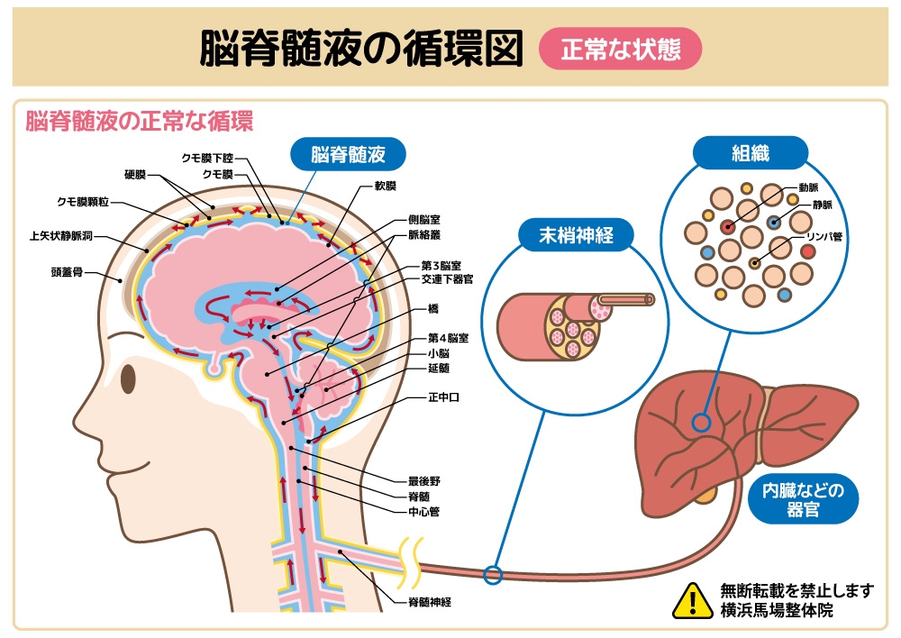 画像A
