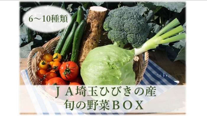 【国消国産】JA埼玉ひびきの産 旬の野菜BOX