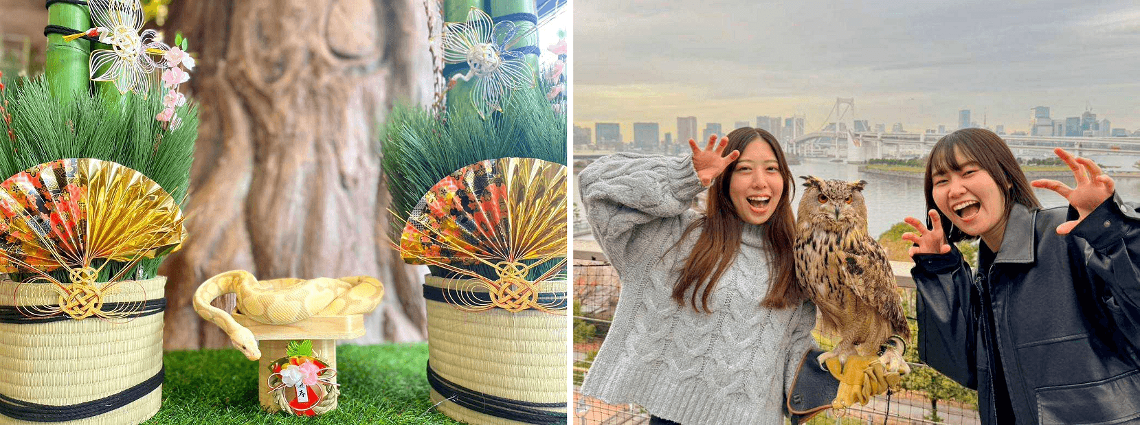 お正月の福イベント