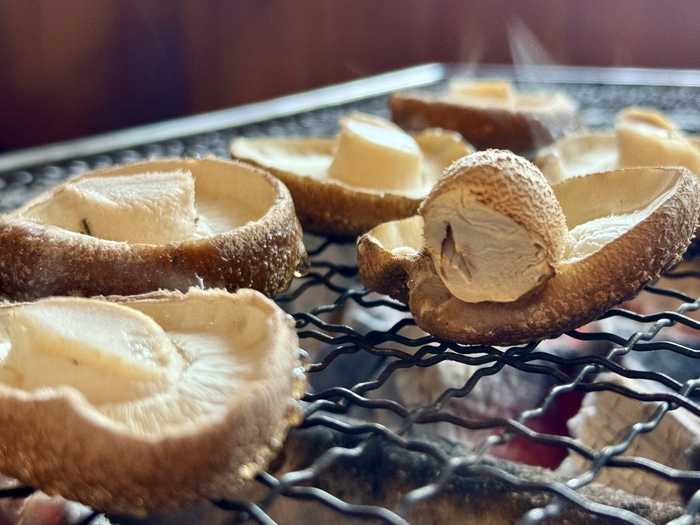 軒先テント市しいたけ直売会