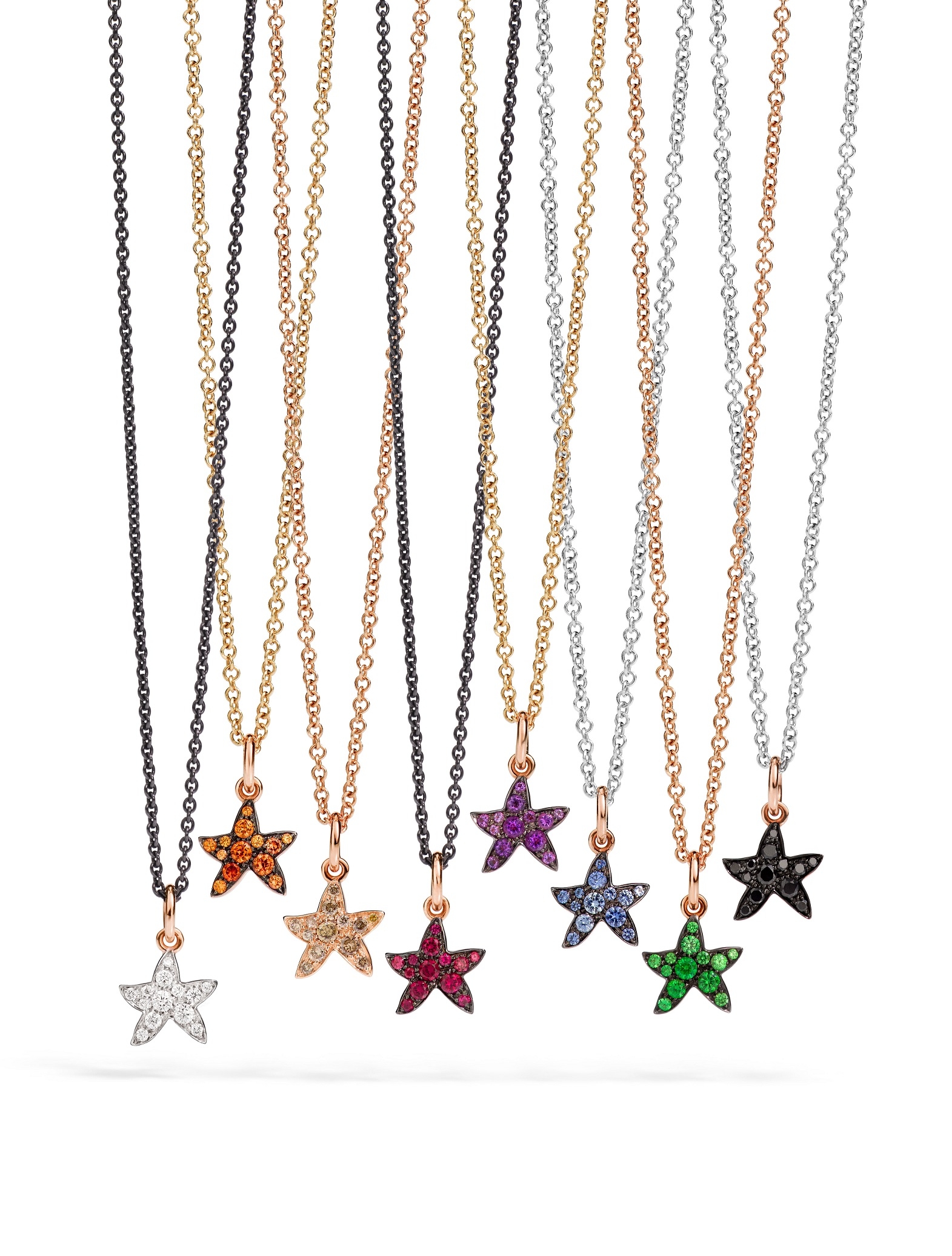 DODO ドド｜ポメラート通販店舗 【ポメスタイル】 ポメラート Dodo