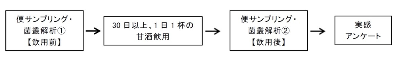 実験の流れ