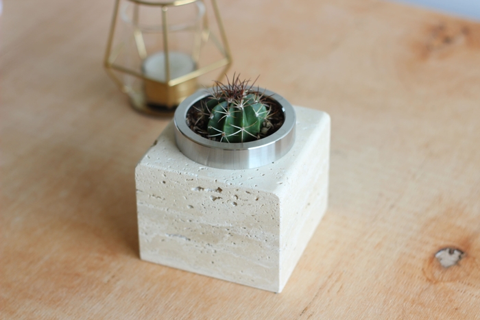 サボテンを植えた俯瞰写真