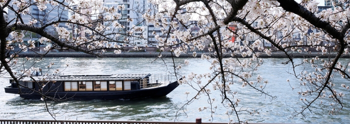 屋形船「鮨 おりがみ」 運航イメージ(4)