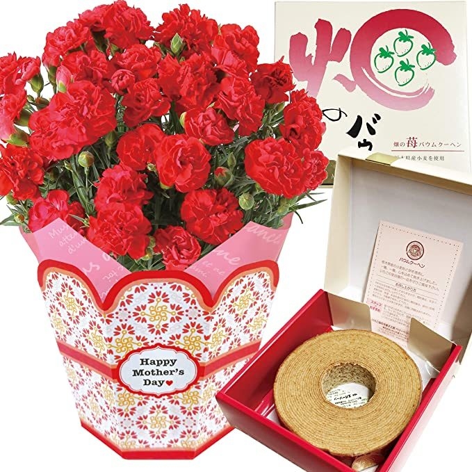 花のギフト社 カーネーション×いちごの里 いちごの里の畑のいちごバウム