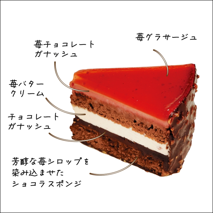 赤いオペラ 断面(2)