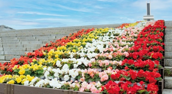 大階段花壇(イメージ)