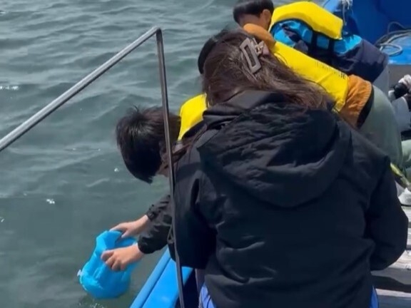 水中観察メガネで確認