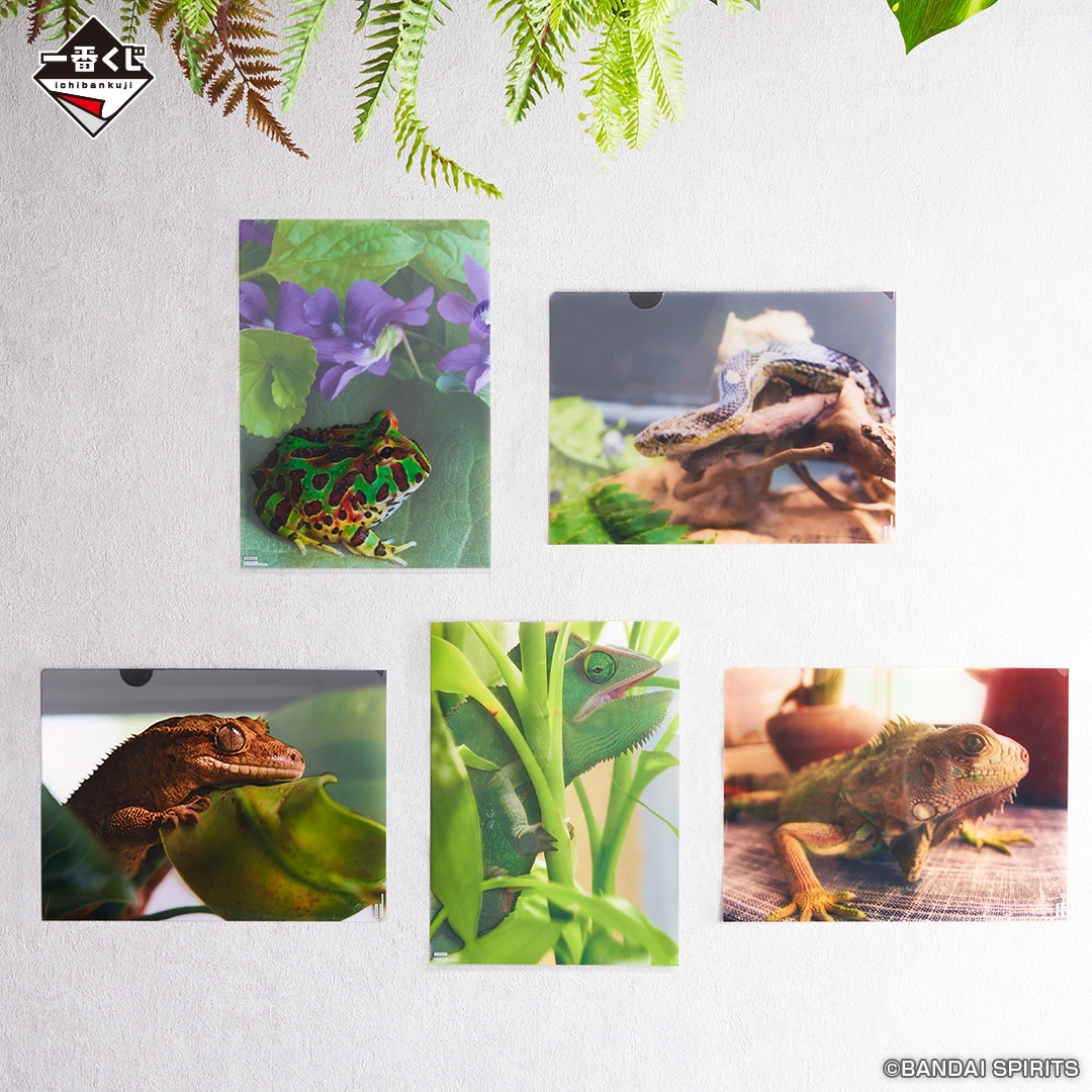 G賞:バリエーションクリアファイル(イメージ)