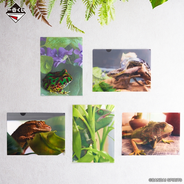 G賞:バリエーションクリアファイル(イメージ)