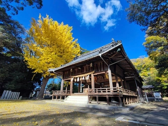 愛媛県・浮嶋神社様にて御守り・御朱印の2026年版予約開始　 神代文字の一種である龍体文字と御守り・御朱印が現代で融合