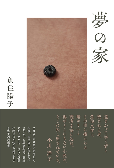 『夢の家』 駒草出版 定価1,980円(税込)/四六判/272頁/ISBN 978-4-909646-55-2/2022年6月発売