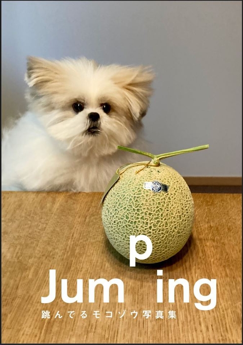 Jumping 跳んでるモコゾウ写真集