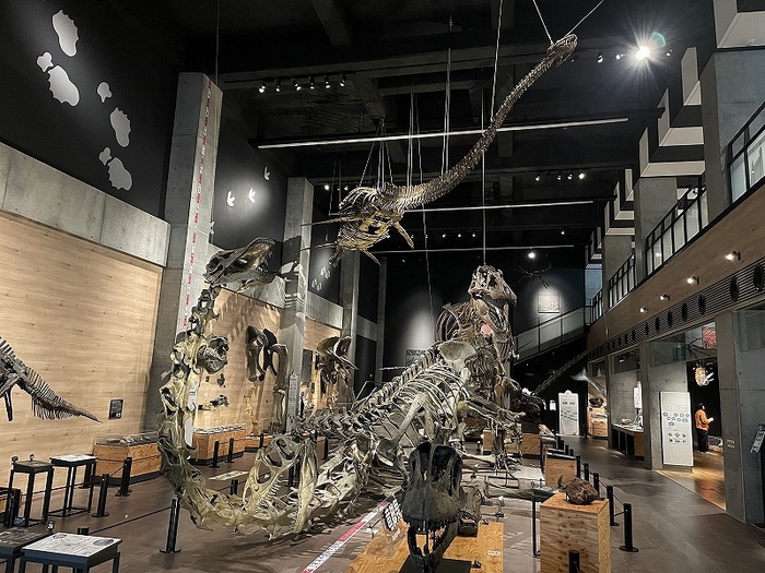 約2,000点の大展示!博物館リニューアル!