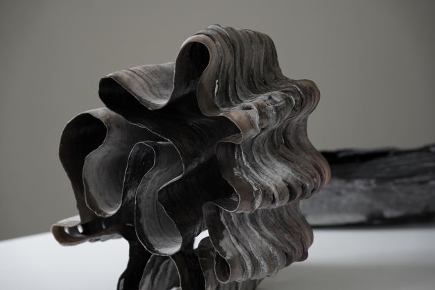 cite(シテ)より 中井 波花