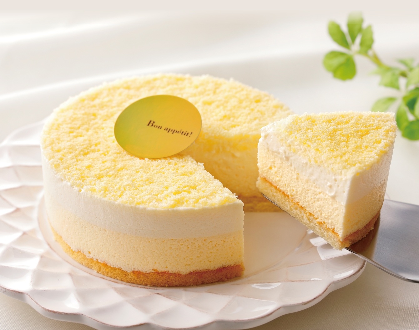 メディア用 ファーストレディ