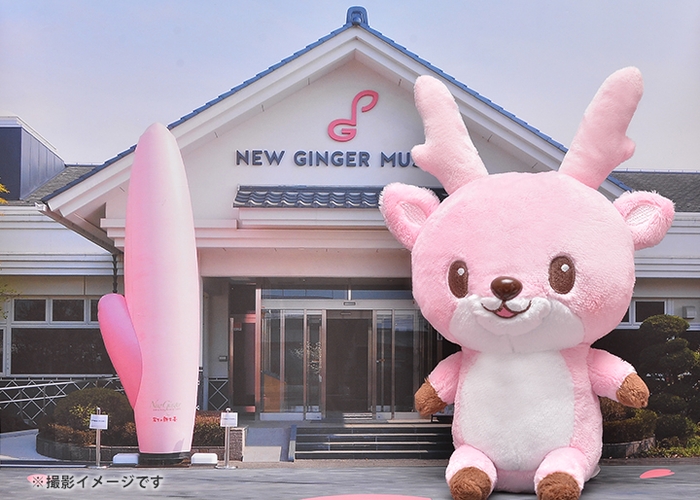 撮影イメージ(岩下の新生姜ミュージアム外観)