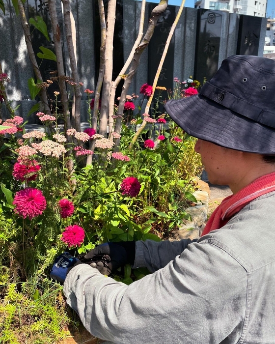 四季を通じてその季節に合った花植え