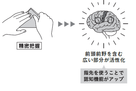 おりがみによる脳活性効果