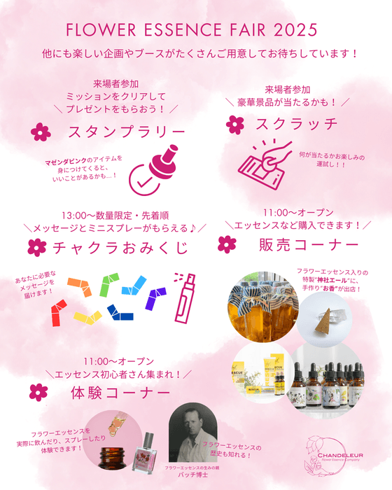 その他企画内容