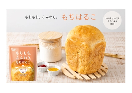 希少もち小麦「モチハルカ」使用！もちふわ食感を実現する パン用小麦粉「もちはるこ」　9月2日より発売
