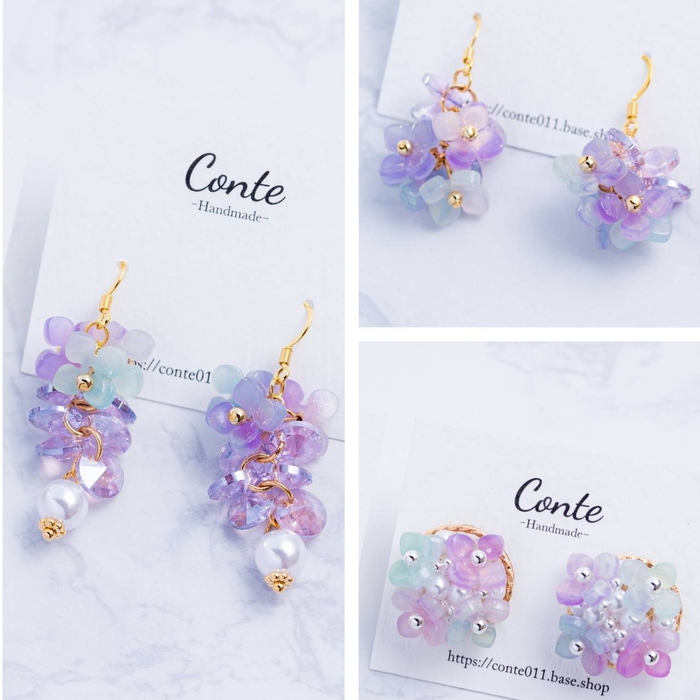 色づく紫陽花　太陽光の下での色変化