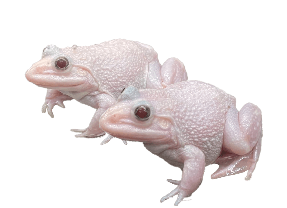 ワクワク!水族館