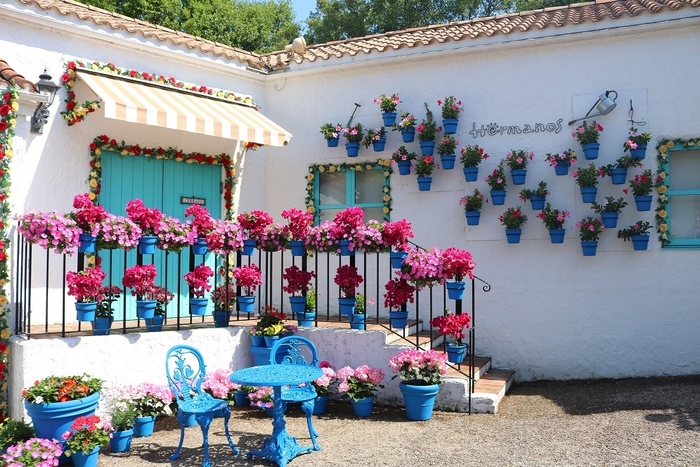 パティオ祭りの装飾で彩られた街並み(去年の様子)