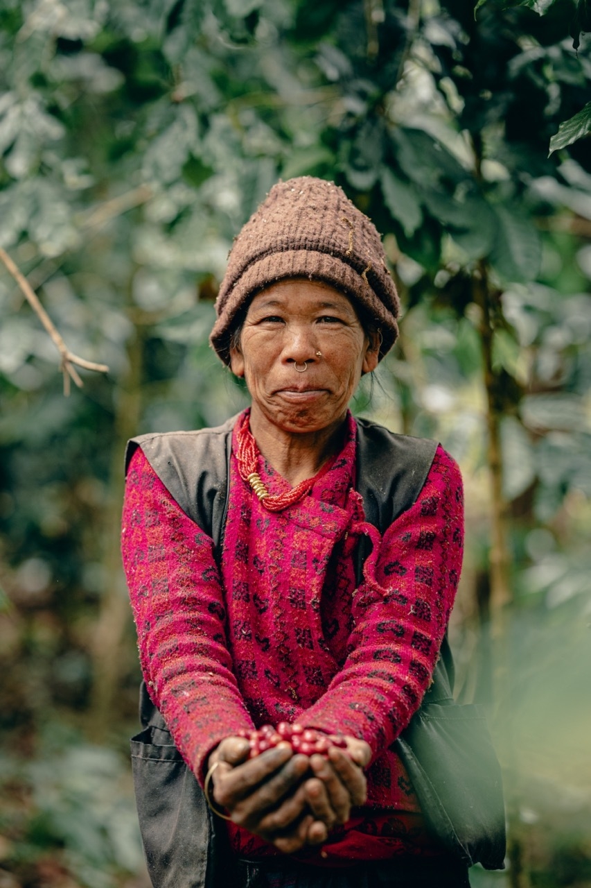 生産者の収穫風景(2)