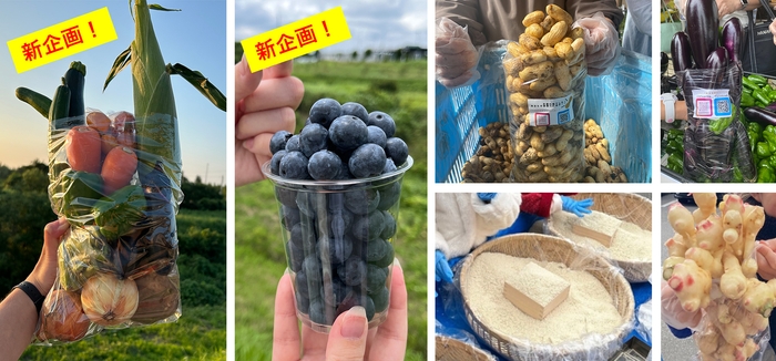今シーズンも地元生産者さんの愛情たっぷりな旬野菜が豊富なラインアップで登場!