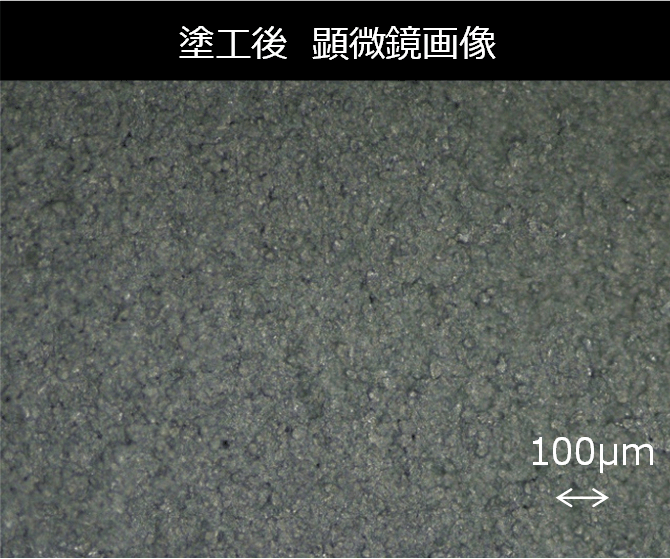 塗工後 顕微鏡画像