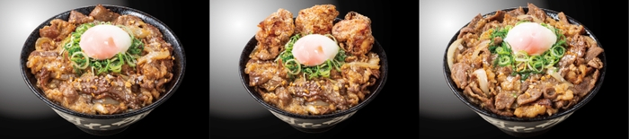 左から『豪快W牛岩塩焼肉丼』980円(税込)　『唐揚げ合盛り　豪快W牛岩塩焼肉丼』1,180円(税込)　『豪快W牛岩塩焼肉丼　肉ざんまい盛り』1,380円(税込)