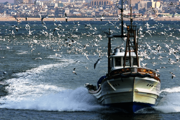 漁風景イメージ