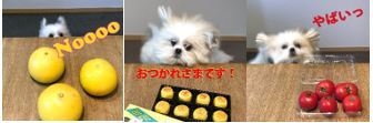 電子版特典 見本