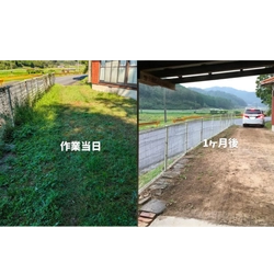草がすぐ生い茂る夏に！“再生しづらい草取り”で除草　 広島発のサービス「草刈り侍」を提供開始