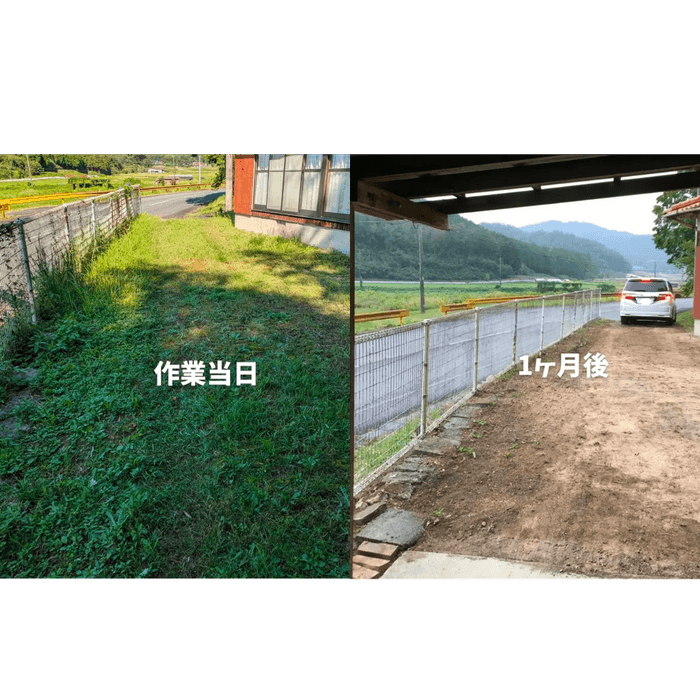 1ヶ月後の雑草の様子