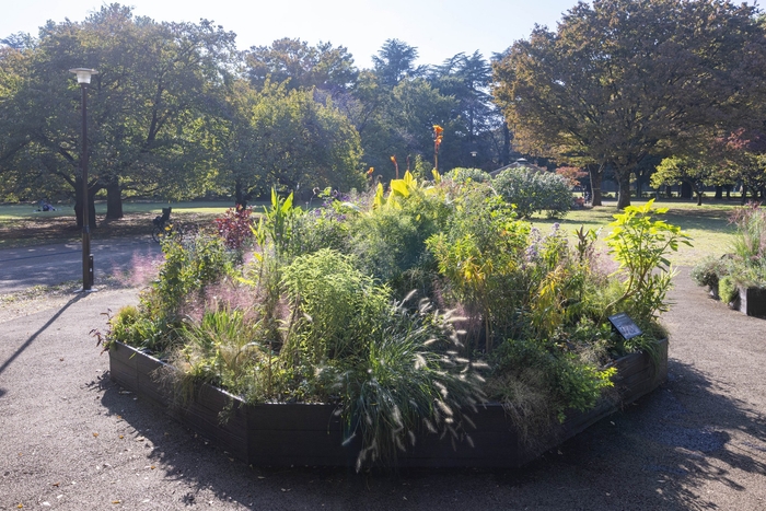 Eガーデンの様子(11月)