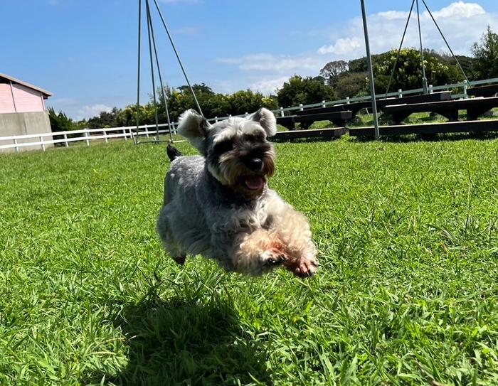 『#ソレイユジャンプ!フォトコンテスト』