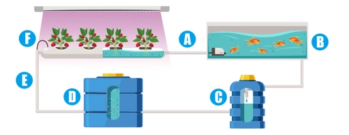 モルト粕が資源に変わる！アグリ王と横浜ビール、 廃棄物削減と持続可能な養殖実現に向けた実証実験を開始