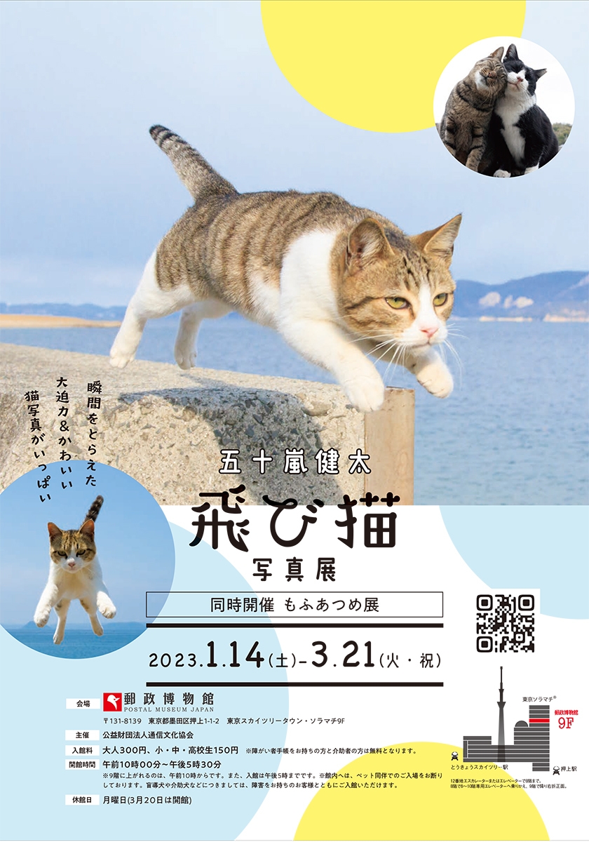 五十嵐 健太 飛び猫写真展 in 郵政博物館
