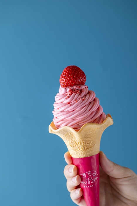 ボンボンソフト