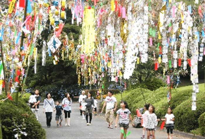 七夕飾り(過去開催の様子)