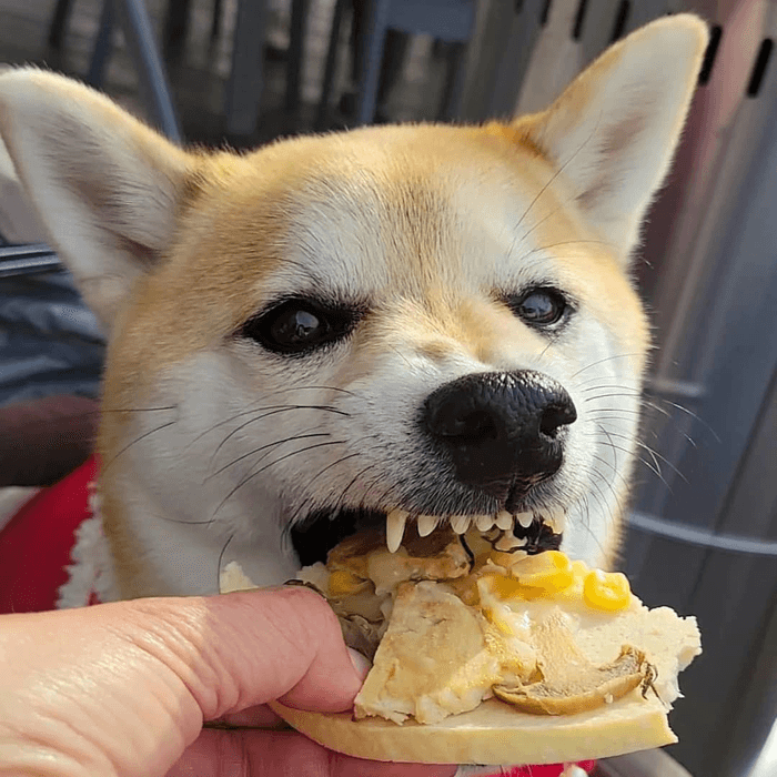 イメージ画像(3)