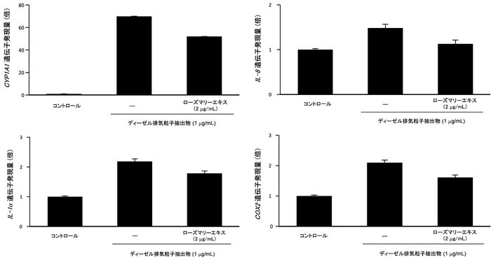 図2 ローズマリーエキスのディーゼル排気粒子抽出物による、薬物代謝酵素及び炎症関連遺伝子発現上昇抑制効果