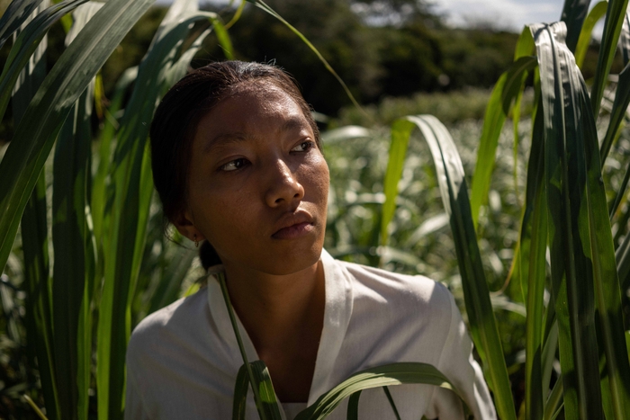 スウィート・ドリームス (c)LemmingFilm