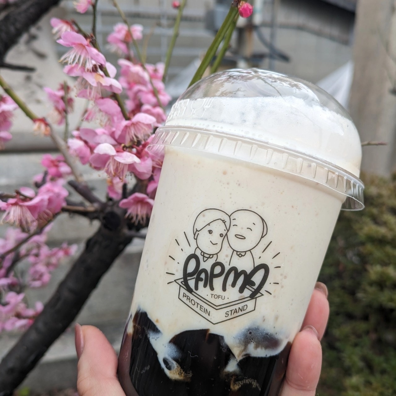 豆腐スムージー1