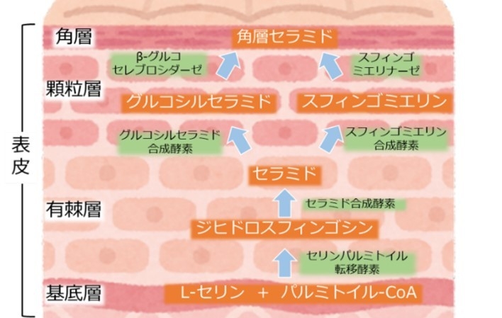 結果2
