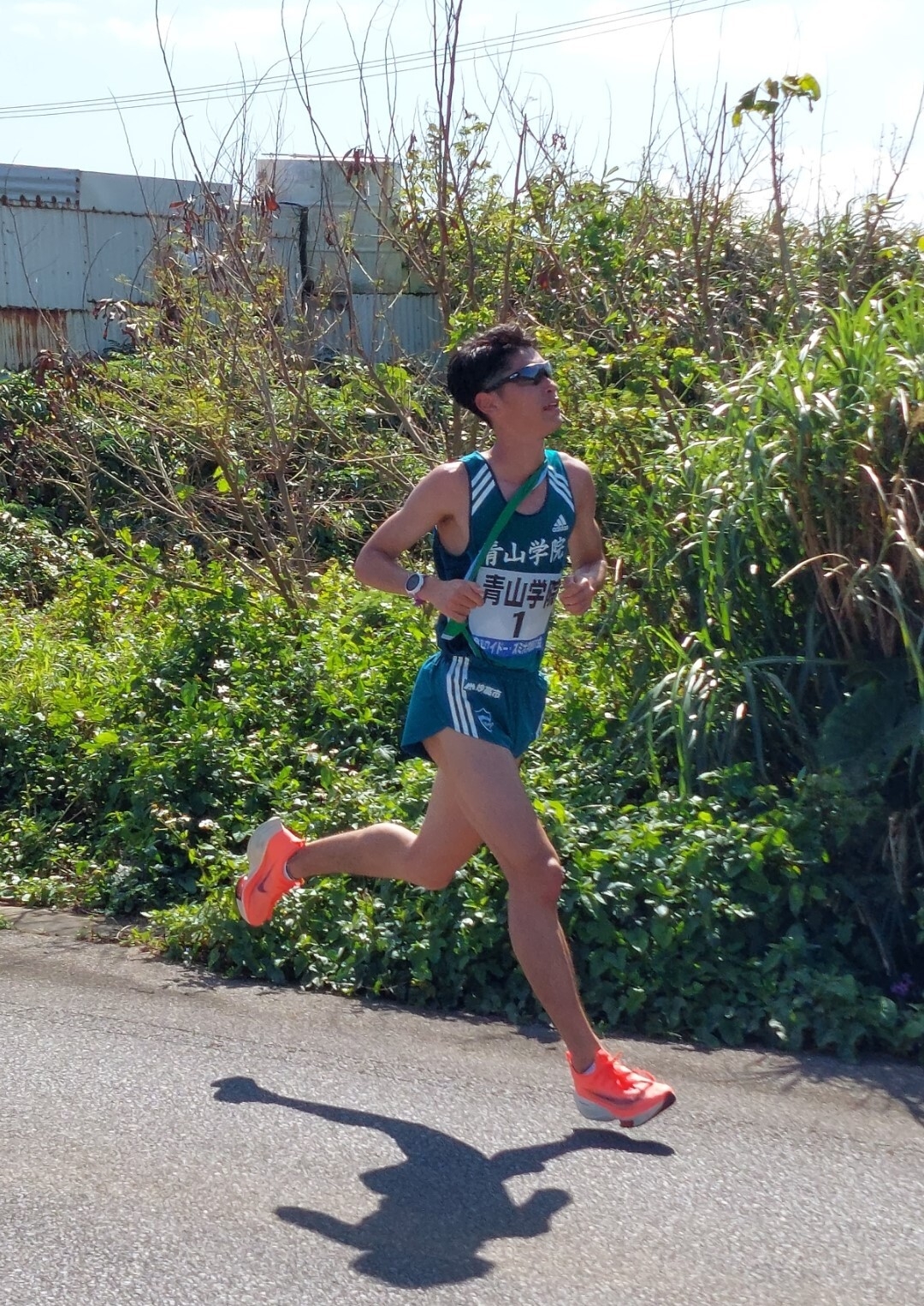 南国ロードを疾走!