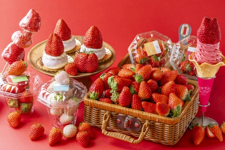 【いちご専門店 いちごBonBonBERRY】 今が旬の静岡いちごを味わい尽くすいちごの祭典！ いちごいっぱいの収穫祭を2月8日(土)から開催！