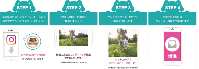 キャンペーンの流れ